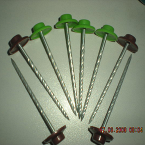 Plastic Head Nails