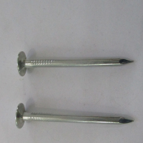 Bulk Roofing Nail