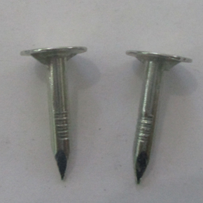 EG Roofing Nails